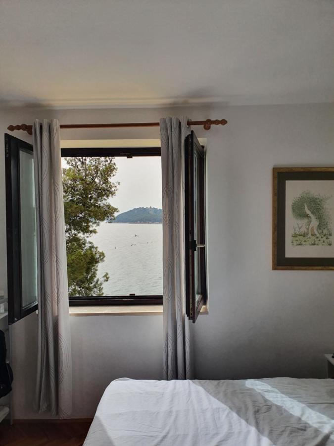 Apartman David Tribalj Kültér fotó